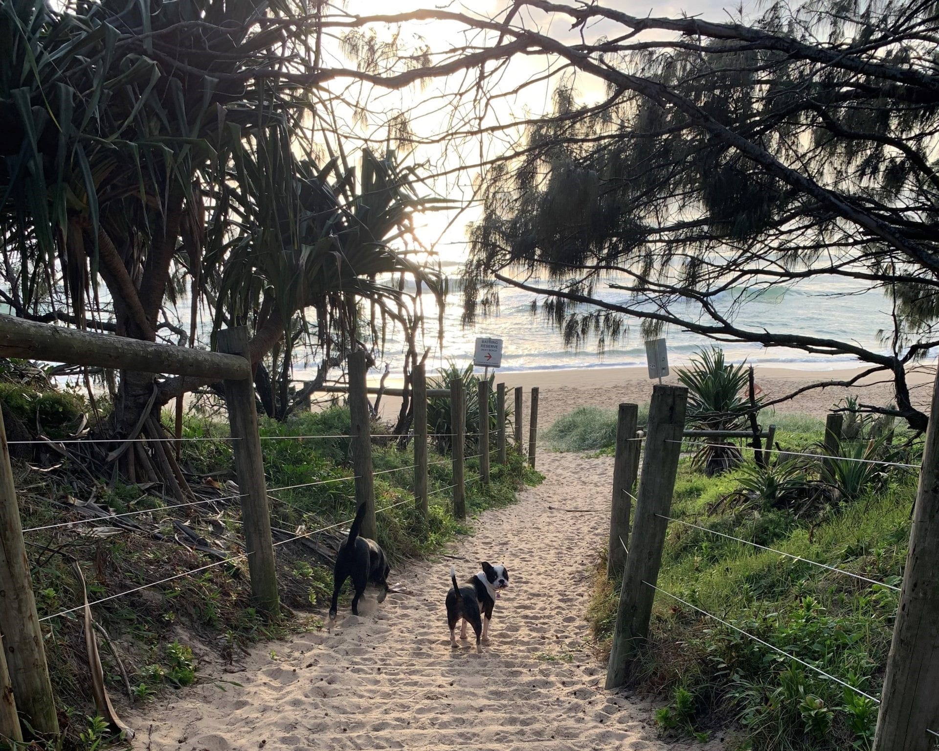 Ivy Street 7 DICKY BEACH Holiday Caloundra